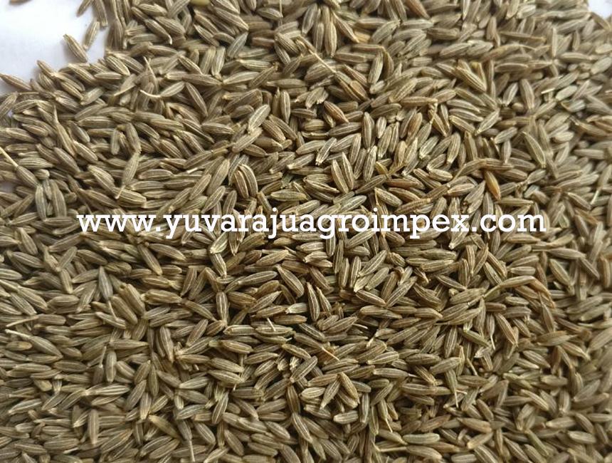 Cumin Seeds Export Quality Europe Quality Cumin Seeds Exporters From India